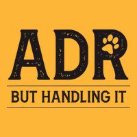 Adr AinT Doin Right But Handling It Funny Vet Tech Vet Dk. Pom Pom 12in Knit Beanie