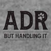 Adr AinT Doin Right But Handling It Funny Vet Tech Vet Dk. Tall Sweatshirt
