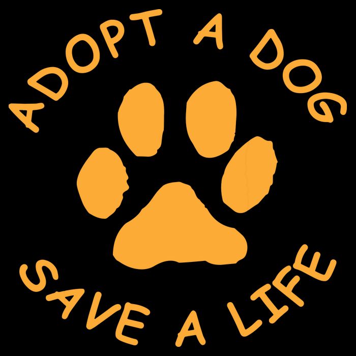 Adopt A Dog Save A Life Tee Rescue Dog Stripe Pom Pom Beanie