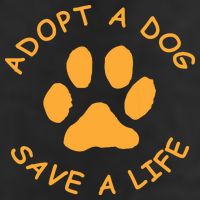 Adopt A Dog Save A Life Tee Rescue Dog 15oz Campfire Ceramic Mug