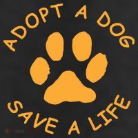 Adopt A Dog Save A Life Tee Rescue Dog Trucker Hat