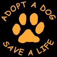Adopt A Dog Save A Life Tee Rescue Dog Wool Snapback Cap