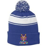 Autism Awareness Day ItS Ok To Be Different Colorful Tiger Gift Stripe Pom Pom Beanie