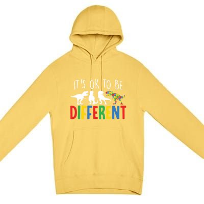 Autism Awareness Dinosaur ItS Ok To Be Different Meaningful Gift Premium Pullover Hoodie