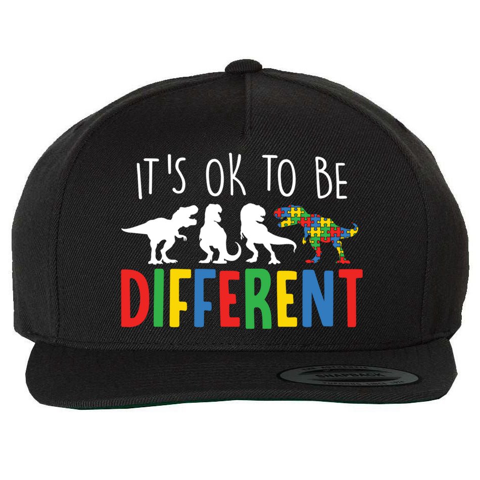 Autism Awareness Dinosaur ItS Ok To Be Different Meaningful Gift Wool Snapback Cap