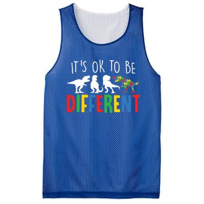 Autism Awareness Dinosaur ItS Ok To Be Different Meaningful Gift Mesh Reversible Basketball Jersey Tank