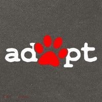 Adopt Cotton Canvas Backpack