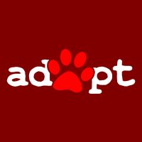 Adopt Tall Long Sleeve T-Shirt