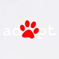 Adopt Garment-Dyed Sweatshirt