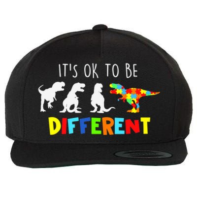 Autism Awareness Dinosaur Boys Its Ok To Be Different Wool Snapback Cap