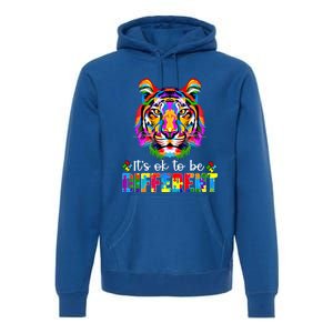 Autism Awareness Day ItS Ok To Be Different Colorful Tiger Meaningful Gift Premium Hoodie