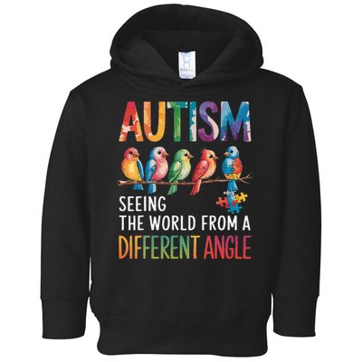Autism Awareness Different Angle Neurodiversity Toddler Hoodie