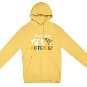 Autism Awareness Dinosaur Its Ok To Be Different Funny Gift Premium Pullover Hoodie