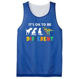 Autism Awareness Dinosaur Its Ok To Be Different Funny Gift Mesh Reversible Basketball Jersey Tank