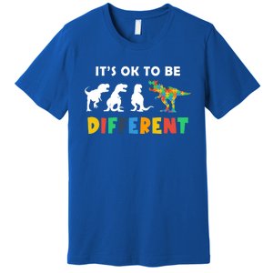 Autism Awareness Dinosaur Its Ok To Be Different Funny Gift Premium T-Shirt