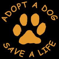 Adopt A Dog Save A Life Rescue Dog 16 in Basic Backpack