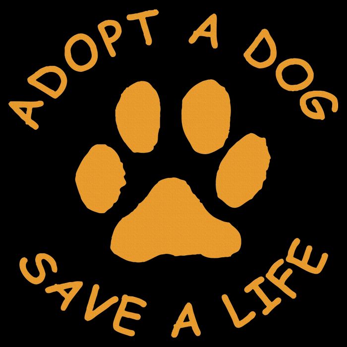 Adopt A Dog Save A Life Rescue Dog 16 in Basic Backpack