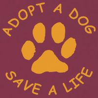 Adopt A Dog Save A Life Rescue Dog 16oz Travel Tumbler