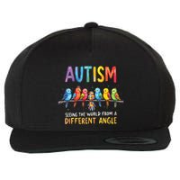 Autism Awareness Different Angle Neurodiversity Wool Snapback Cap