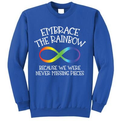 Autism Awareness Embrace The Rainbow Infinity Anti Puzzle Gift Sweatshirt
