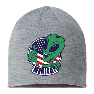 Alien American Flag Funny Merica Sustainable Beanie