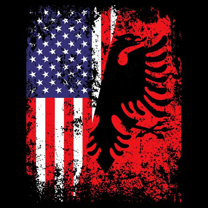 Albanian American Flag Patriotic Usa Albania Flag 16 in Basic Backpack