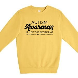 Autism Awareness Funny Gift Advocate Acceptance Understanding Great Gift Premium Crewneck Sweatshirt