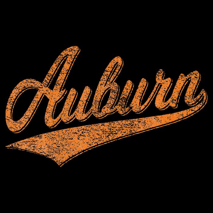 Auburn Alabama Flag Classic Vintage Sports Script Jersey Backpack