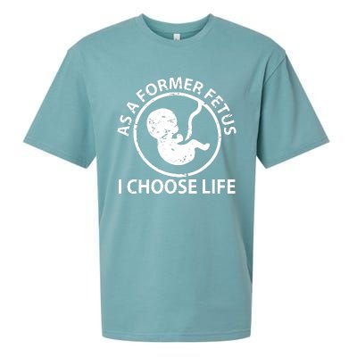 As A Former Fetus I Choose Pro Life Sueded Cloud Jersey T-Shirt