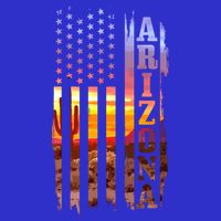 Arizona American Flag Pride Landscape Cactus Patriotic Gift Great Gift Tall T-Shirt