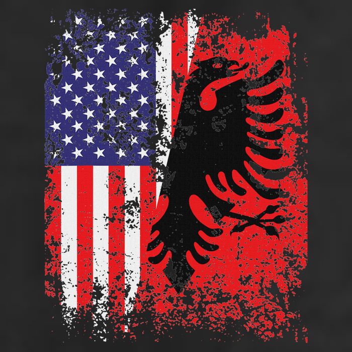 Albanian American Flag Patriotic Usa Albania Flag 7 Panel Mesh Trucker Snapback Hat