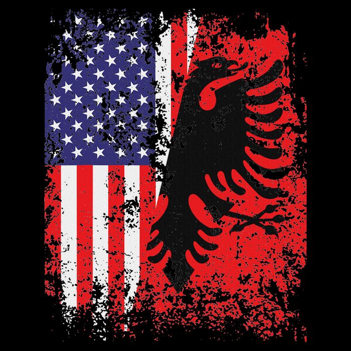 Albanian American Flag Patriotic Usa Albania Flag Toddler T-Shirt
