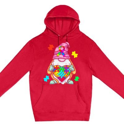 Autism Awareness Gnome Hugging Heart Acceptance Premium Pullover Hoodie