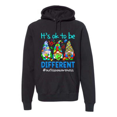 Autism Awareness Gnomes Its Ok To Be Different Premium Hoodie