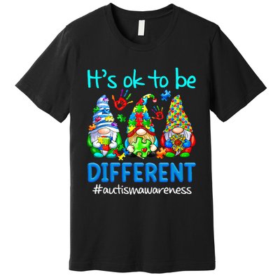 Autism Awareness Gnomes Its Ok To Be Different Premium T-Shirt