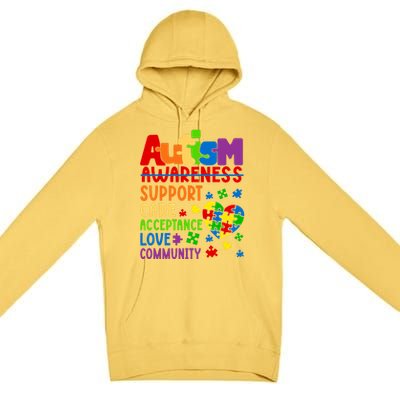 Autism Awareness Gift Support Care Acceptance Ally Gift Premium Pullover Hoodie