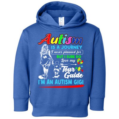 Autism Awareness Gigi Autism Is A Journey Gift Toddler Hoodie