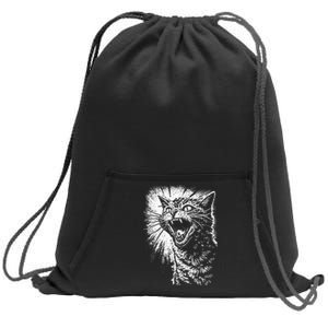 Angry Aggressive Hissing Cat Ready To Attack Sweatshirt Cinch Pack Bag