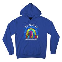 Autism Awareness ItS Ok To Be Different Leopard Rainbow Meaningful Gift Hoodie