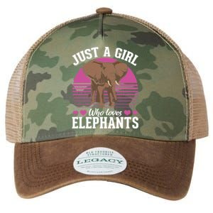 Africa Animal Lover Just A Who Loves Elephants Gift Legacy Tie Dye Trucker Hat