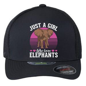 Africa Animal Lover Just A Who Loves Elephants Gift Flexfit Unipanel Trucker Cap