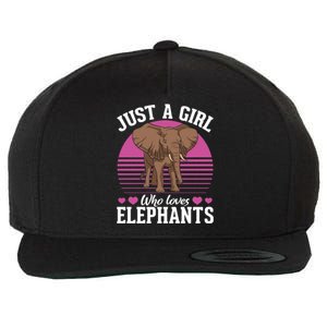 Africa Animal Lover Just A Who Loves Elephants Gift Wool Snapback Cap