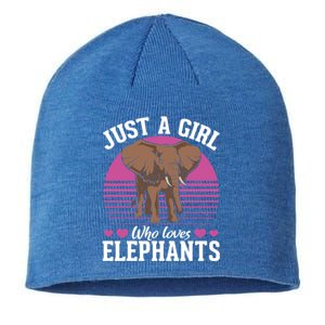 Africa Animal Lover Just A Who Loves Elephants Gift Sustainable Beanie