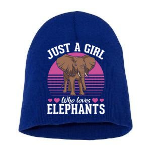 Africa Animal Lover Just A Who Loves Elephants Gift Short Acrylic Beanie