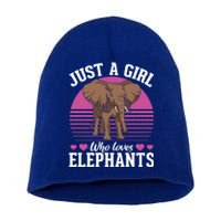 Africa Animal Lover Just A Who Loves Elephants Gift Short Acrylic Beanie