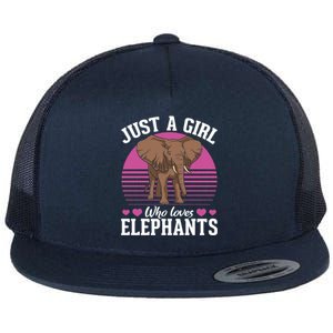 Africa Animal Lover Just A Who Loves Elephants Gift Flat Bill Trucker Hat