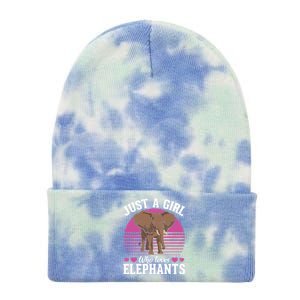 Africa Animal Lover Just A Who Loves Elephants Gift Tie Dye 12in Knit Beanie