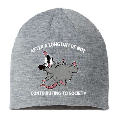 After A Long Day Of Not Contributing To Society Funny Quote Sustainable Beanie