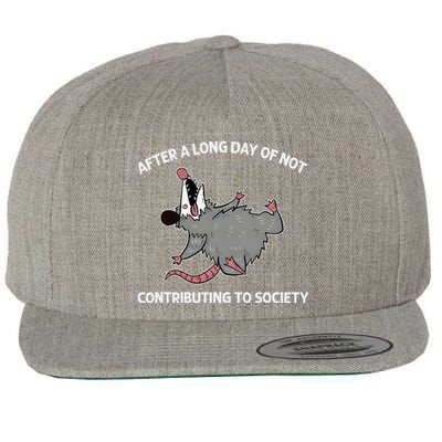 After A Long Day Of Not Contributing To Society Funny Quote Wool Snapback Cap