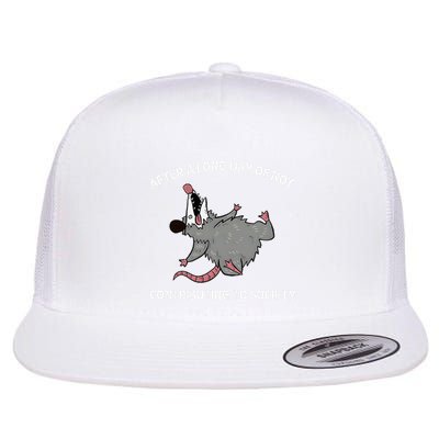 After A Long Day Of Not Contributing To Society Funny Quote Flat Bill Trucker Hat